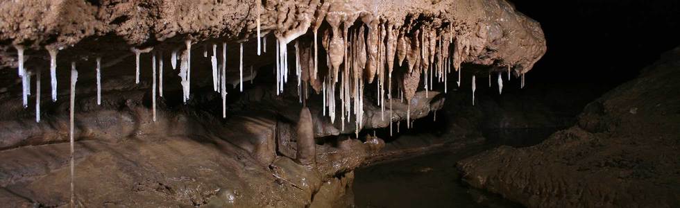 soda straws decorate cave ceiling