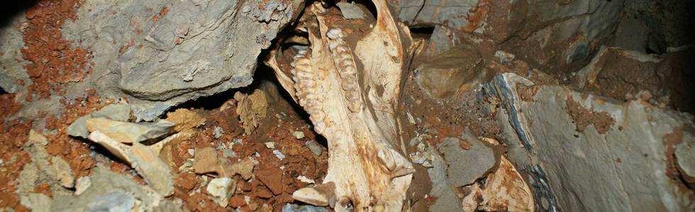 cave explorers in Big Bone Mountain room