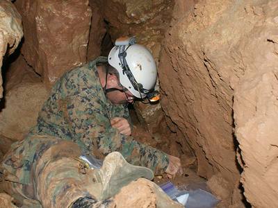 man excavating a bone